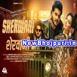 Sherwani Mp3 Song Download Arvind Akela Kallu,Shilpi Raj