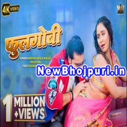 Fulgobhi Mp3 Song Download Arvind Akela Kallu,Shilpi Raj