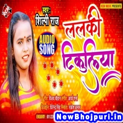 Hamar Lalaki Tikuliya Kamal Kare Le Shilpi Raj Lalaki Tikuliya (Shilpi Raj) New Bhojpuri Mp3 Song Dj Remix Gana Download