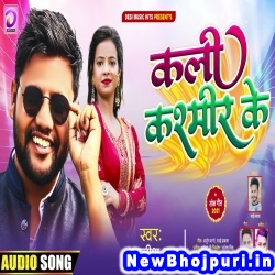 Ham Patna Ke Raja Tu Kali Kashmir Ke Awanish Babu Kali Kashmir Ke (Awanish Babu) New Bhojpuri Mp3 Song Dj Remix Gana Download