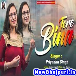 Tere Bina (Priyanka Singh)