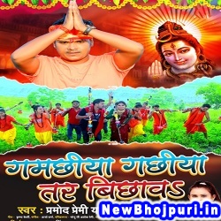 Gamachhiya Gachhiya Tar Bichhawa (Pramod Premi Yadav, Shilpi Raj)