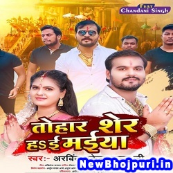 Tohar Sher Ha Ae Maiya (Arvind Akela Kallu Ji) Arvind Akela Kallu Ji  New Bhojpuri Mp3 Song Dj Remix Gana Download