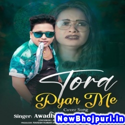 Tora Pyar Me Awdhesh Premi Yadav Tora Pyar Me (Awdhesh Premi Yadav) New Bhojpuri Mp3 Song Dj Remix Gana Download