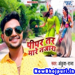 Pipar Tar Mare Najara (Ankush Raja) Ankush Raja  New Bhojpuri Mp3 Song Dj Remix Gana Download