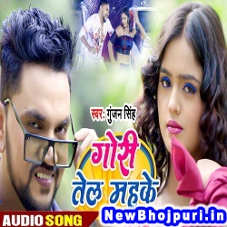 Gori Tel Mahke (Gunjan Singh) Gunjan Singh  New Bhojpuri Mp3 Song Dj Remix Gana Download
