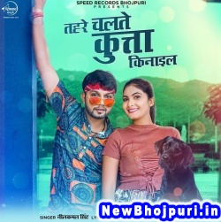 Tora Naam Ke Kutta Palo (Neelkamal Singh) Neelkamal Singh  New Bhojpuri Mp3 Song Dj Remix Gana Download