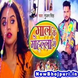 Mal Ke Mohalla Me (Gunjan Singh) Gunjan Singh  New Bhojpuri Mp3 Song Dj Remix Gana Download