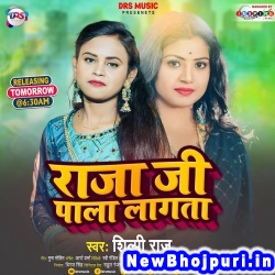 Raja Ji Pala Lagata (Shilpi Raj) Shilpi Raj  New Bhojpuri Mp3 Song Dj Remix Gana Download