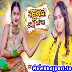 Pahunwa Aihe Ki Na (Shilpi Raj) Shilpi Raj  New Bhojpuri Mp3 Song Dj Remix Gana Download