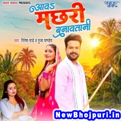 Aawa Machhari Banawatani (Ritesh Pandey, Puja Pandey) Ritesh Pandey, Puja Pandey  New Bhojpuri Mp3 Song Dj Remix Gana Download