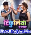 Tikuliya Ae Raja (Pawan Singh) Pawan Singh Bhojpuri Mp3 Song Download