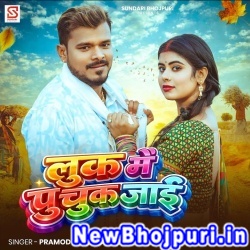 Luk Me Puchuk Jai Jobna