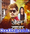 Jail Yatra Mp3 Song Download Raushan Rohi