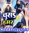 Chusa Hamar Dudh Mp3 Song Download  Bittu Mishra