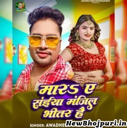Mara Ye Saiya Manjil Bhitar Hai Mp3 Song Download Awadhesh Premi