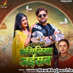 Naginiya Jaisan Mp3 Song Download Ankush Raja